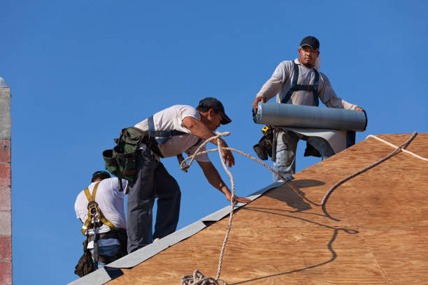 Best Roof Gutter Cleaning  in Pleasantdale, NJ